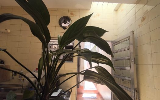 Sobrado à venda na Lapa